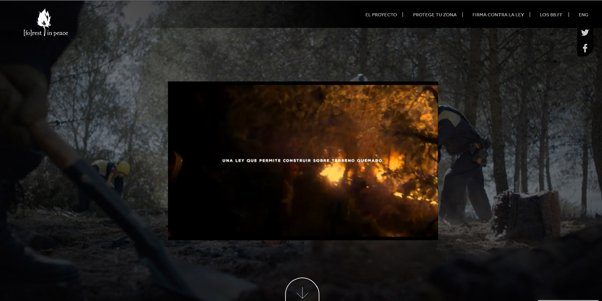 forest in peace contra la ley de montes