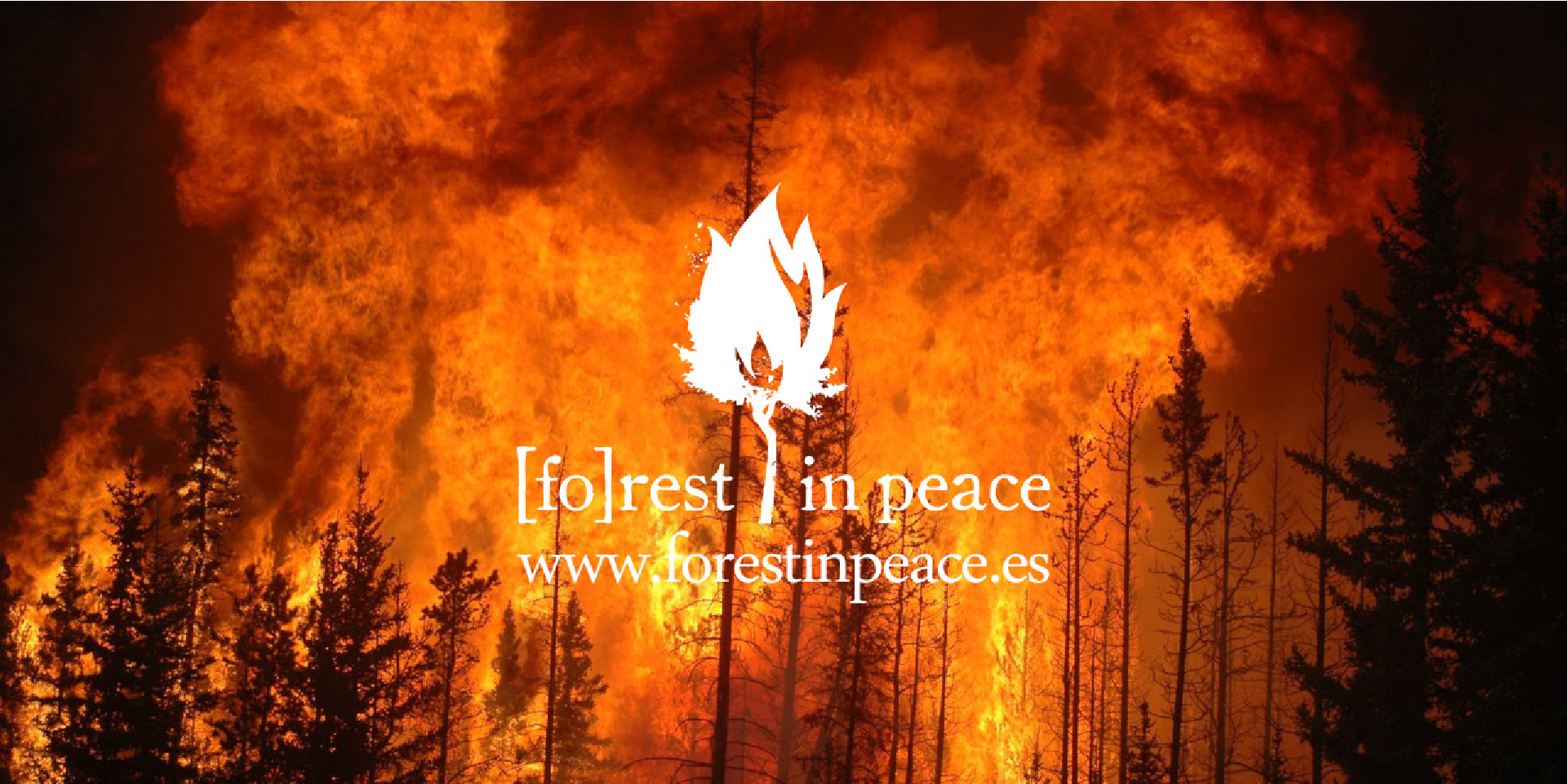 Convertir a los bosques en cementerios